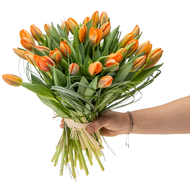 Bouquet of tulips